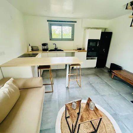 Lovely With Garden Apartment